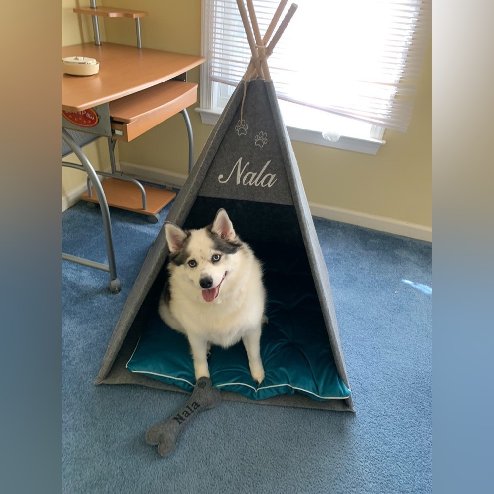 Gray Felt Pet (or Child) Teepee Tent *BARELY USED*